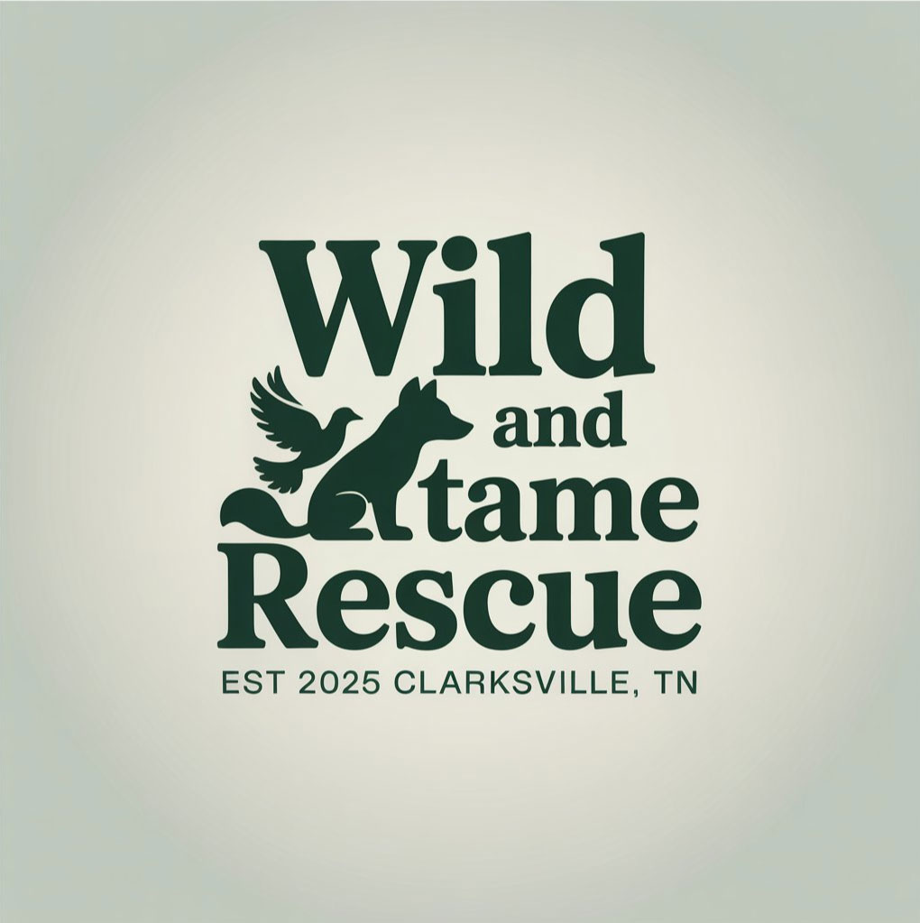 Logo Design by DesignVerse777 for this project | Design #35266271