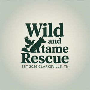 Logo Design by DesignVerse777 for this project | Design: #35266271