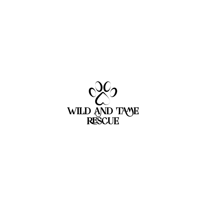 Diseño de Logo por Coli para este proyecto | Diseño #35251957