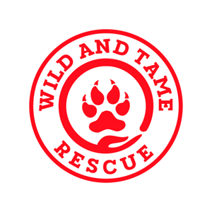 Logo Design by DiandraKali for this project | Design: #35230866