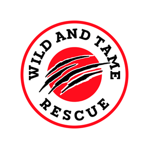 Logo Design by DiandraKali for this project | Design: #35234636
