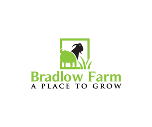Logo Design by Spark  Design for this project | Design: #35227972