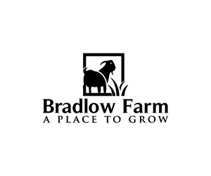 Logo Design by Spark  Design for this project | Design: #35227973