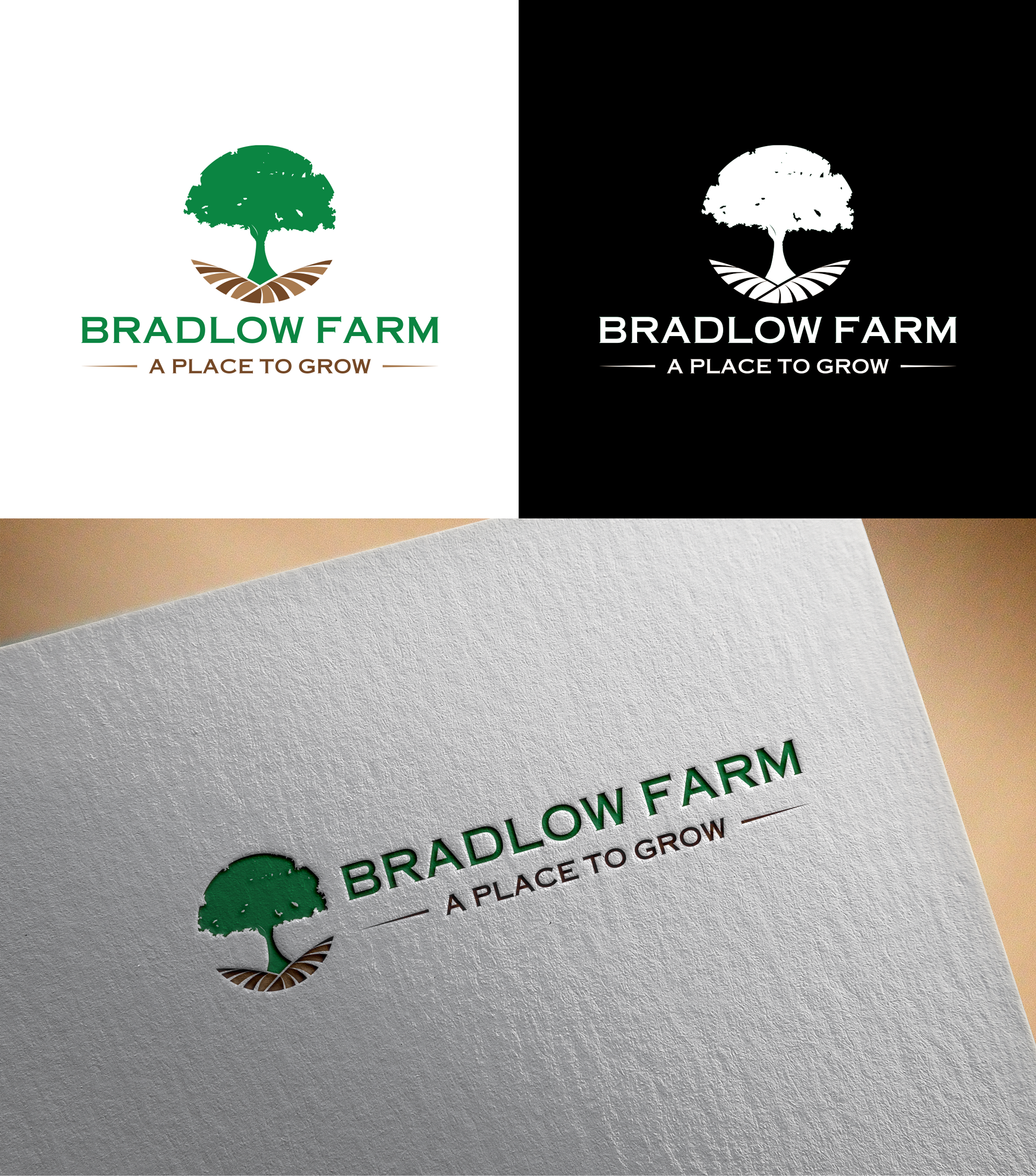 Logo-Design von RA-bica für dieses Projekt | Design #35230616