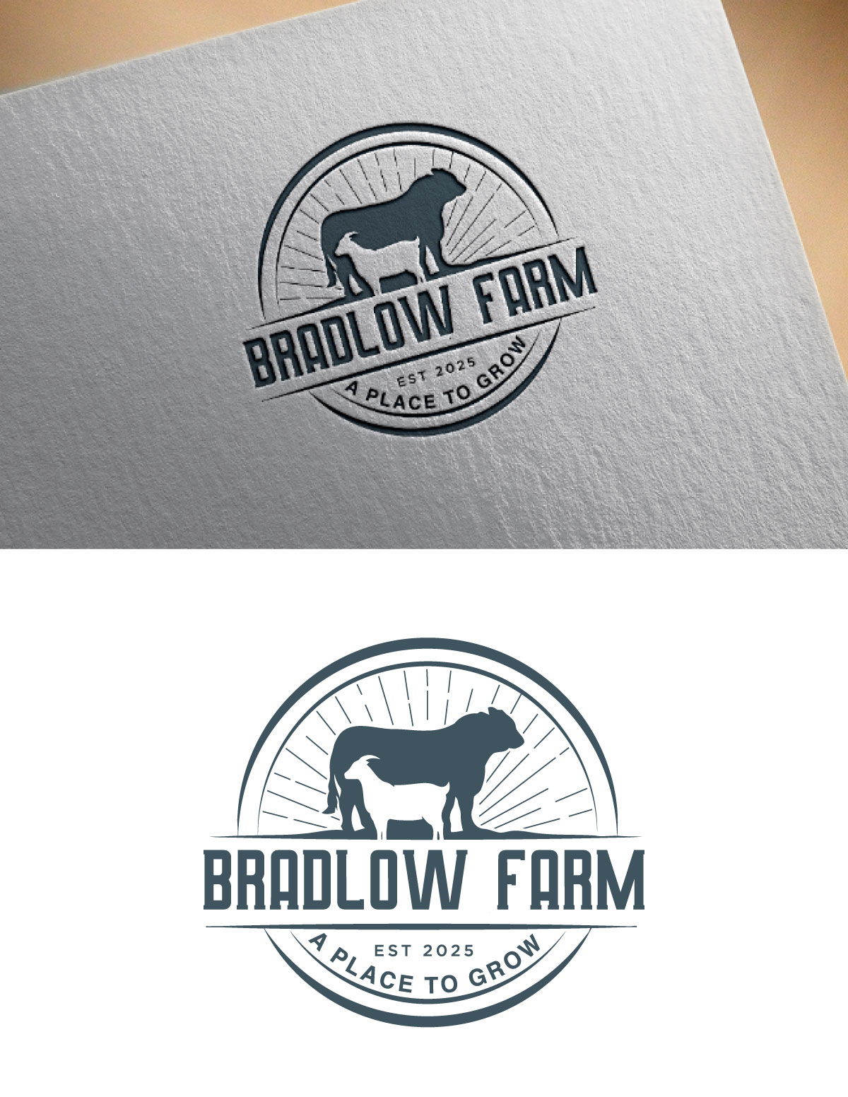Logo-Design von Mk_Graphix für dieses Projekt | Design #35234612