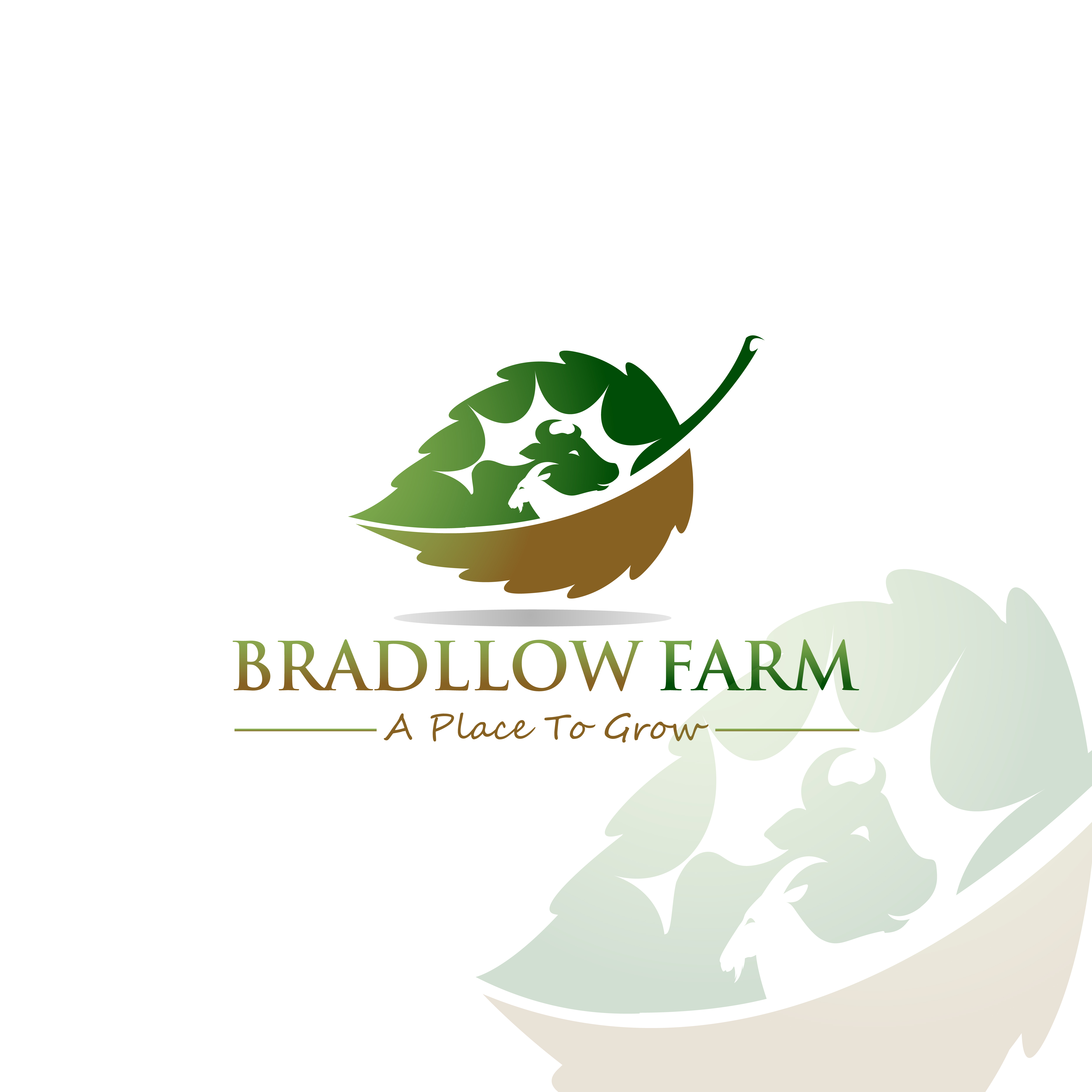 Logo Design by Imran S.Khan for this project | Design #35240809
