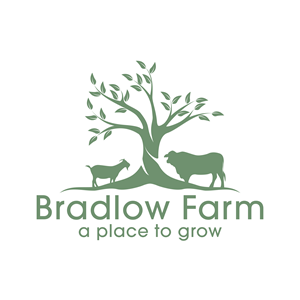 Logo Design by SeptiyanQomarudin for this project | Design: #35235161