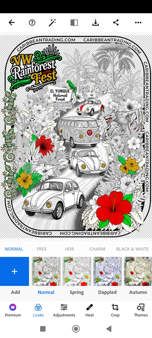 Illustration Design by Krypton Designer for Caribbean Trading Company, Inc. | Design: #35332917