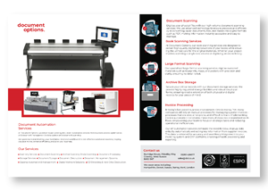 Flyer Design by Maxo-Biz for Document Options Ltd. | Design: #35273591