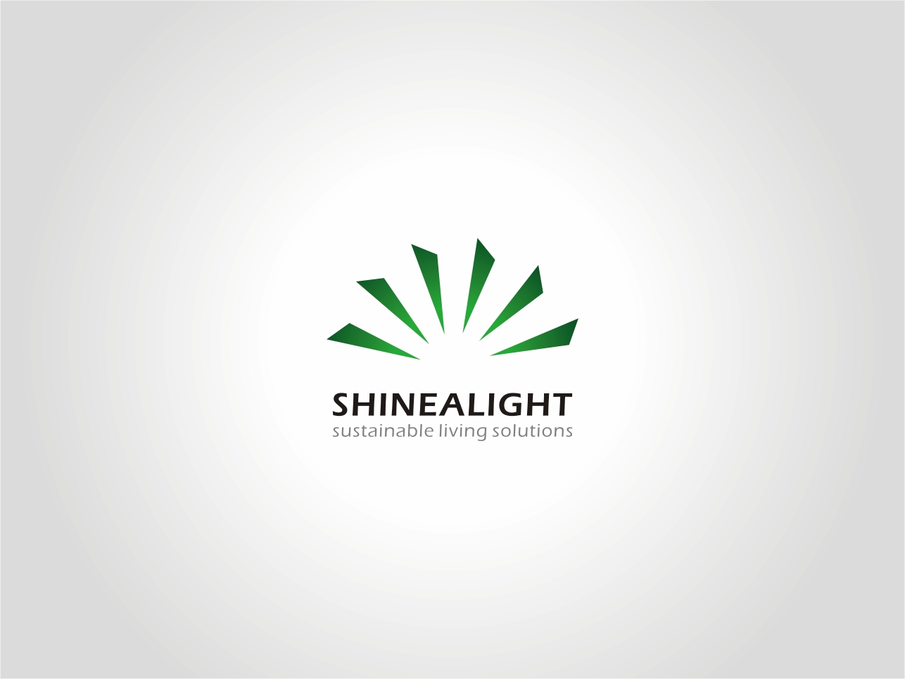 Logo Design by CityTop for Shinealight Solutions | Design #69996