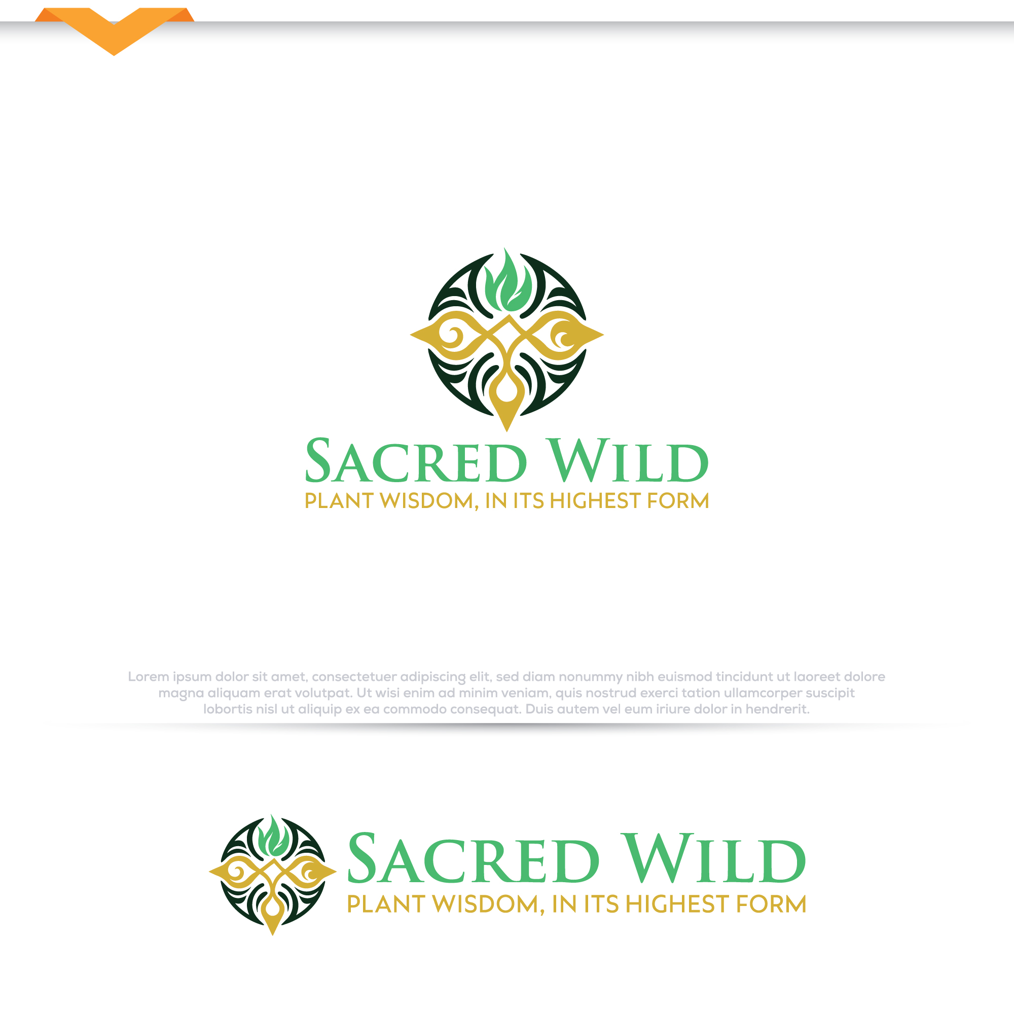 Design de Logo par Pilot_DesignR™ pour KruSwiss | Design #35244409