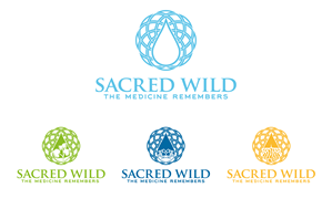 Diseño de Logo por patriciaparadesign para KruSwiss | Diseño: #35281198