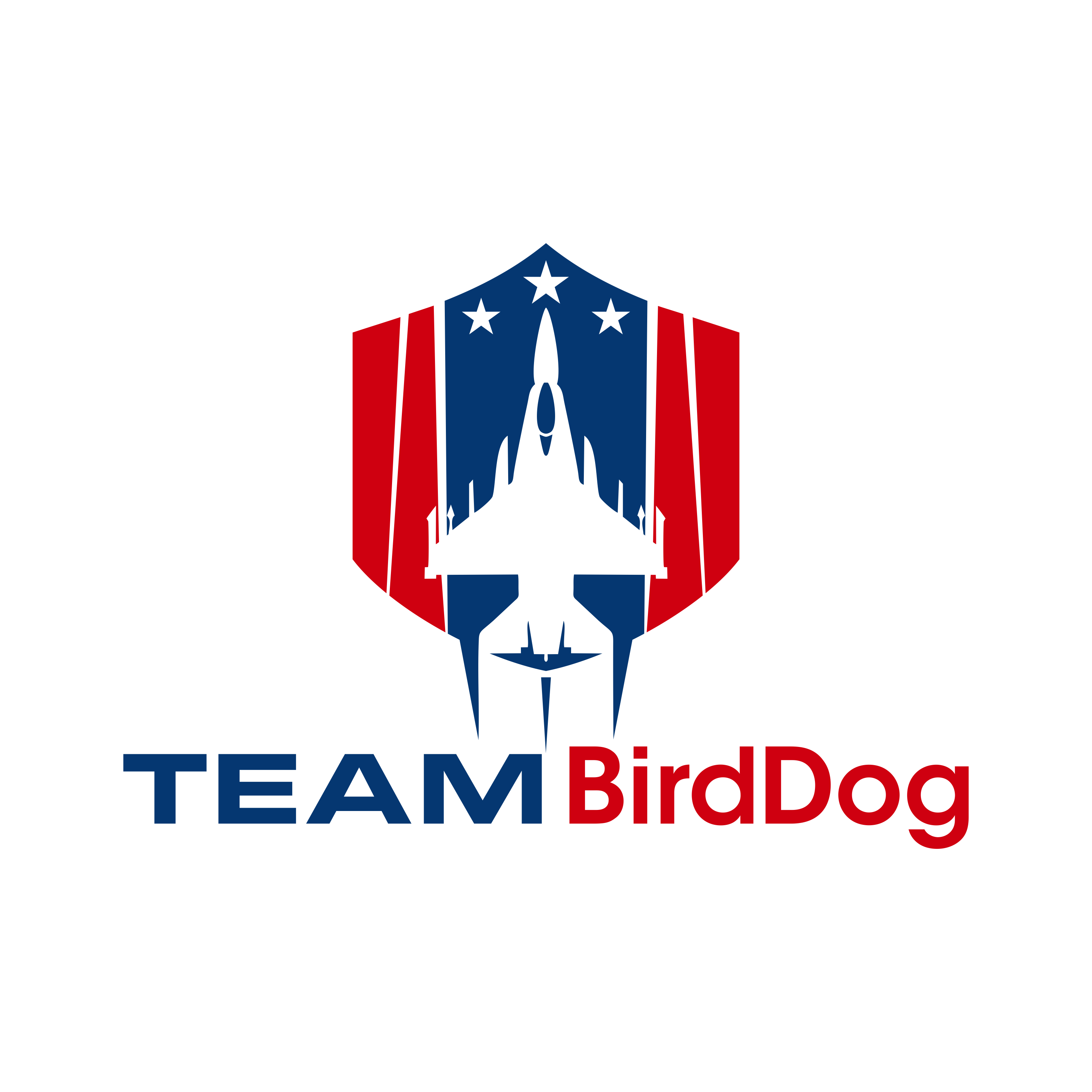 Diseño de Logo por arillingga para este proyecto | Diseño #35248853