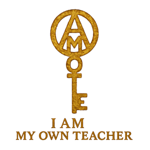 Logo Design by shakibali for this project | Design: #35272810