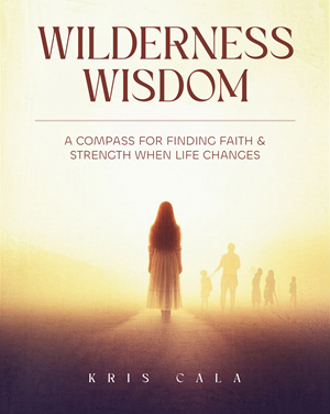 Book Cover Design by Ahmad Sani