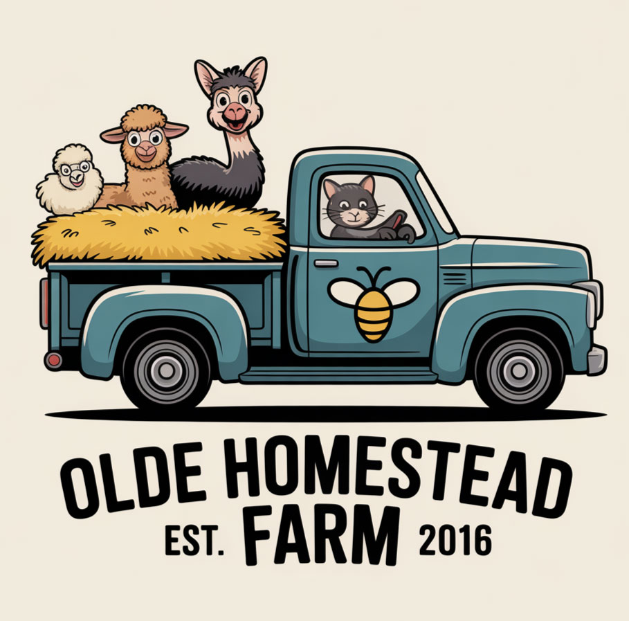 Logo-Design von KING JM für dieses Projekt | Design #35269237