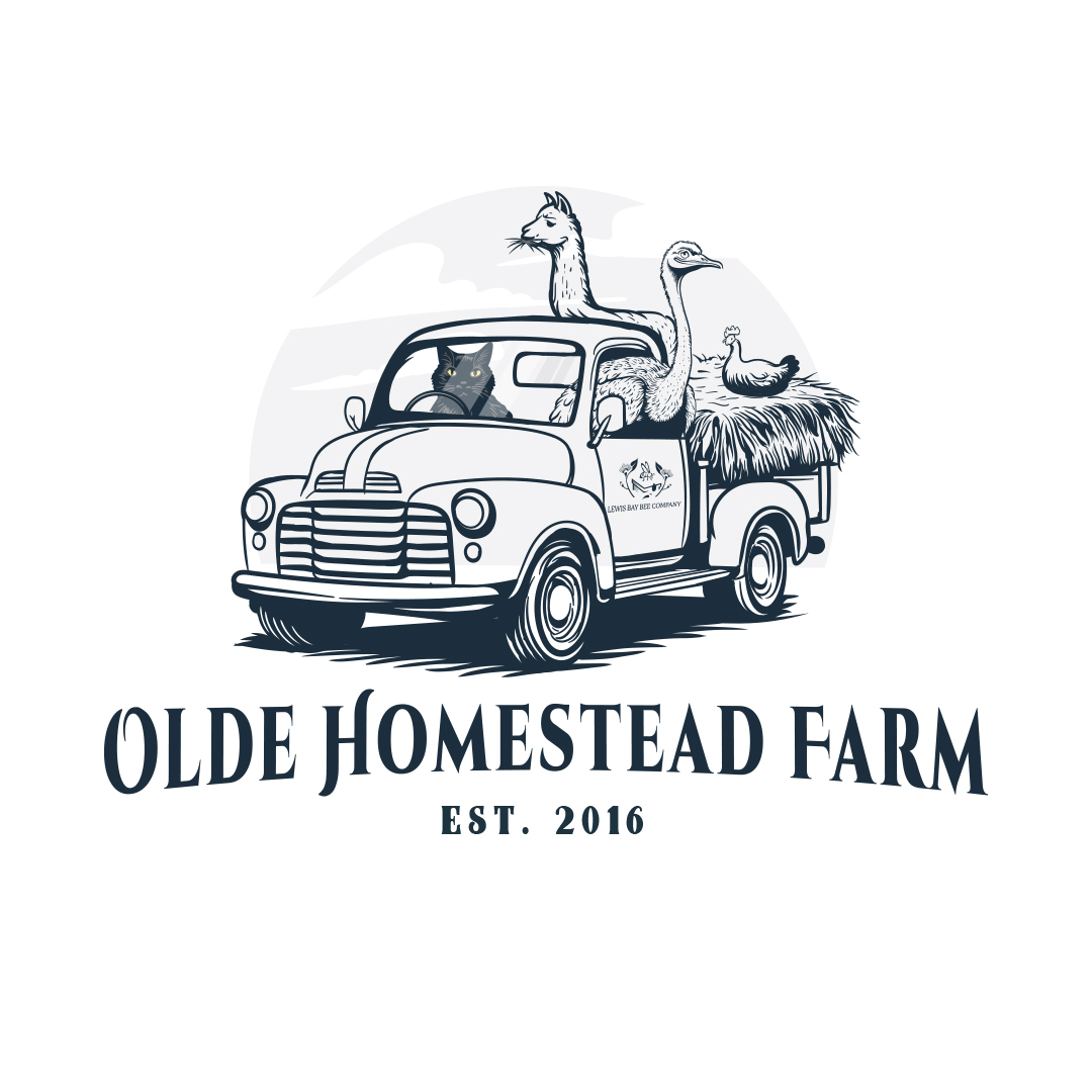 Logo Design by Joy Dutta for this project | Design #35306225