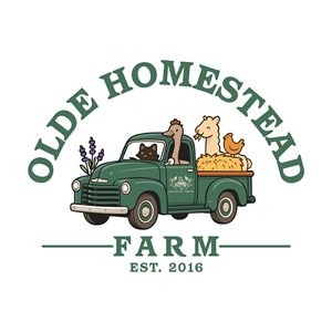 Logo Design by Creative | Canvas for this project | Design: #35288783