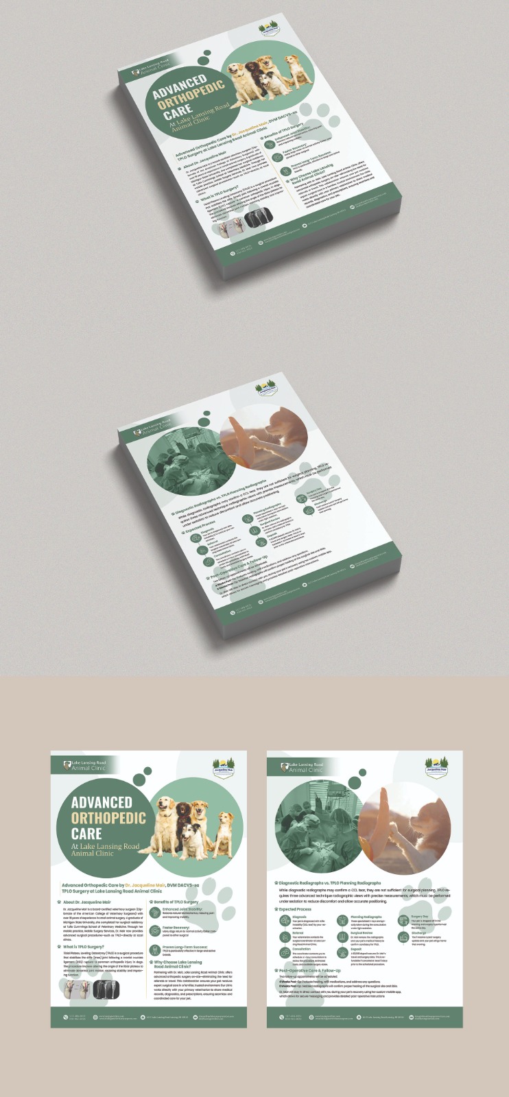 Flyer Design by Design Motion for this project | Design #35271177