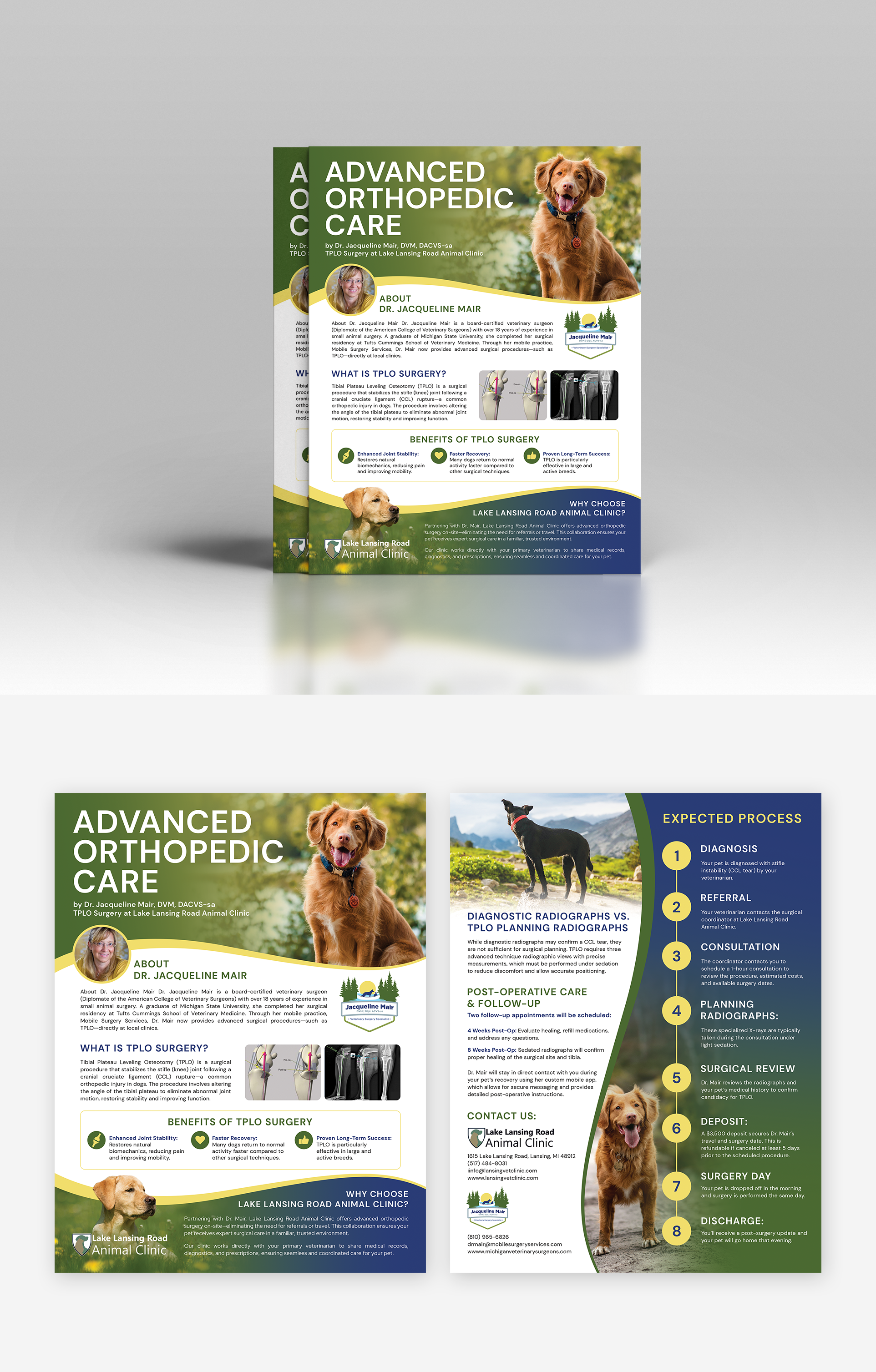 Flyer Design by Alstroemeria for this project | Design #35305578