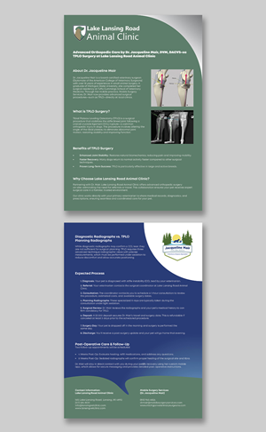 Flyer Design by YourLogoMaster for this project | Design: #35279067