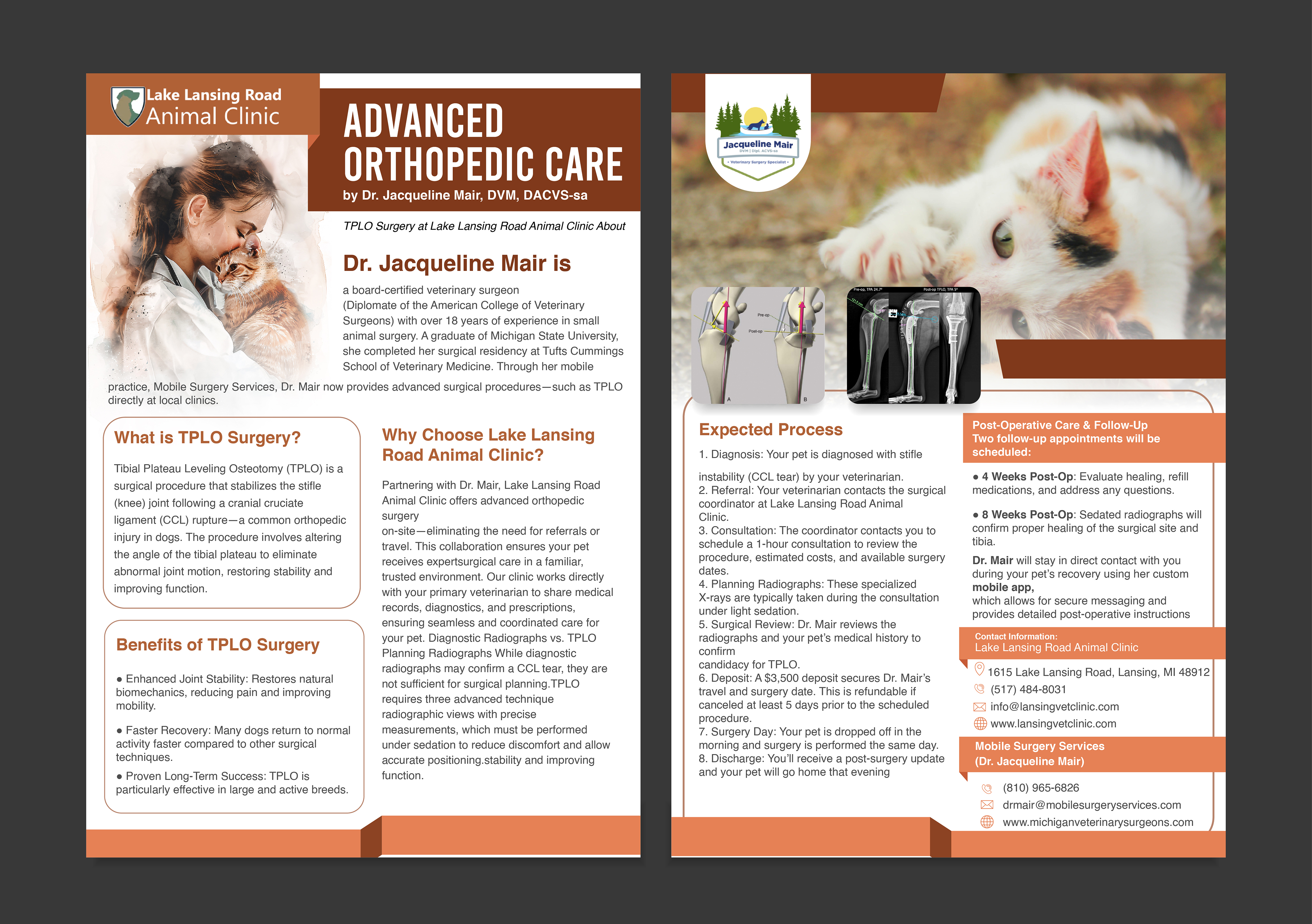 Design de Flyer par LENTERA DESIGN 2 pour ce projet | Design #35306518