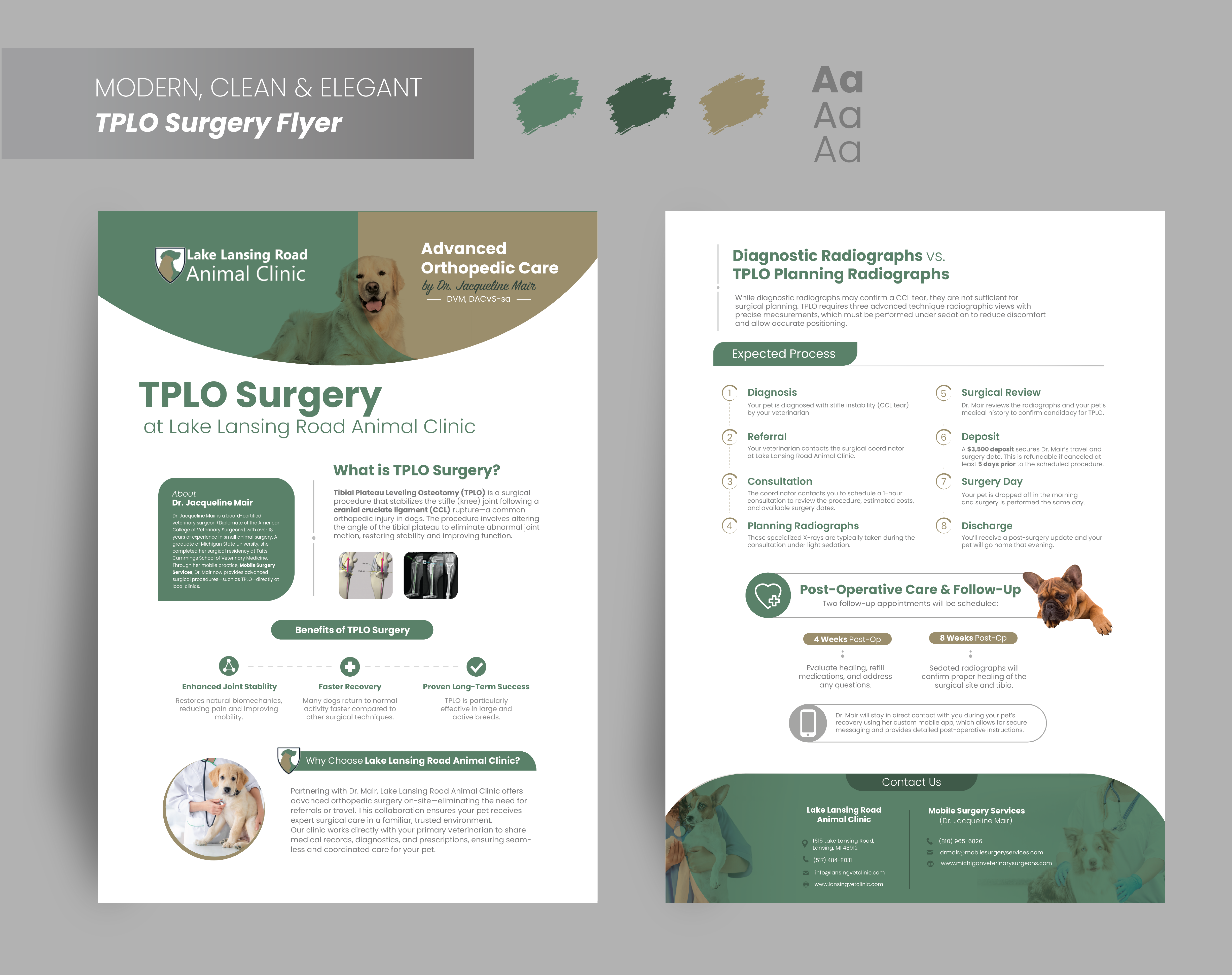 Flyer-Design von G Marchiori für dieses Projekt | Design #35296360