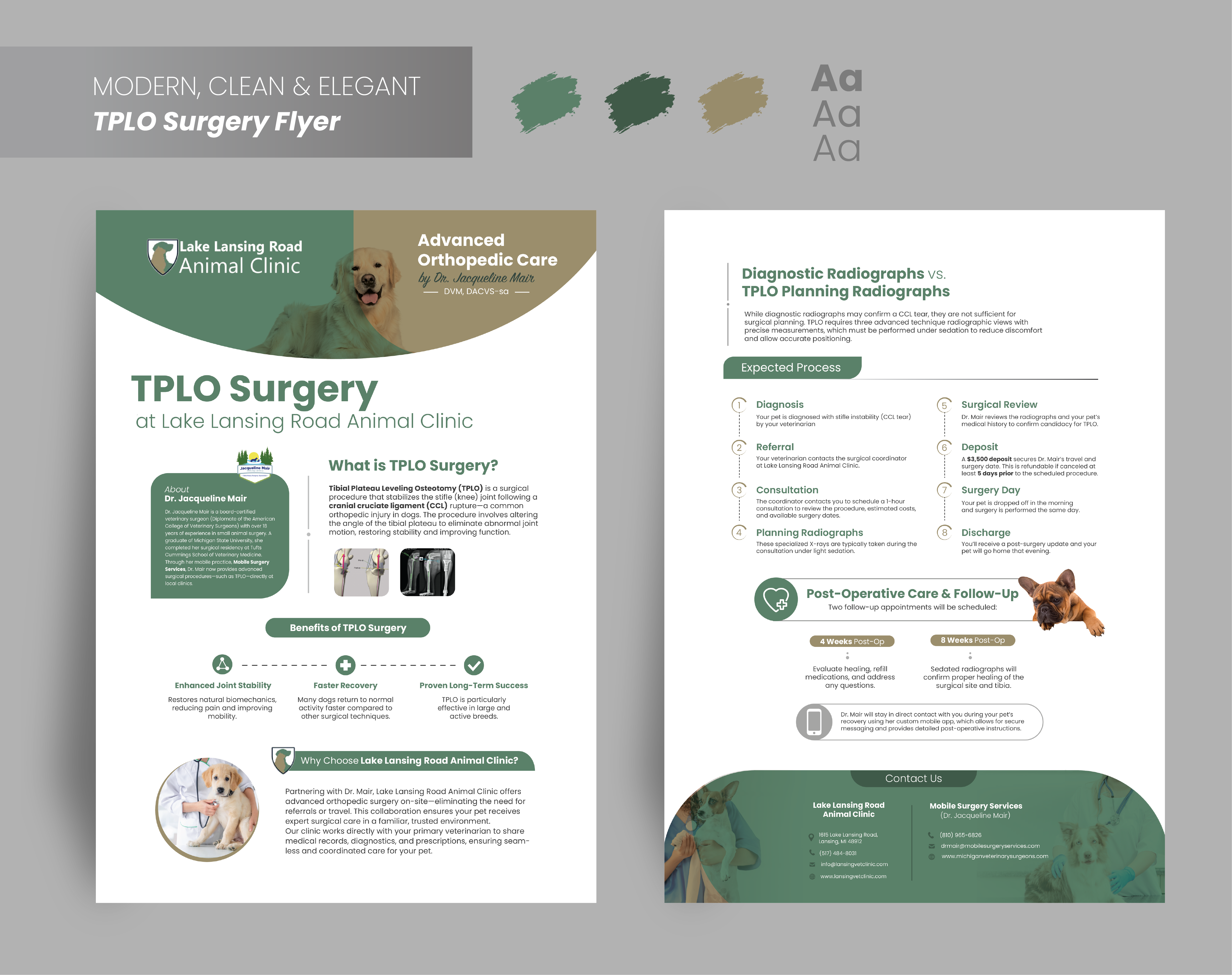 Design de Flyer par G Marchiori pour ce projet | Design #35296941