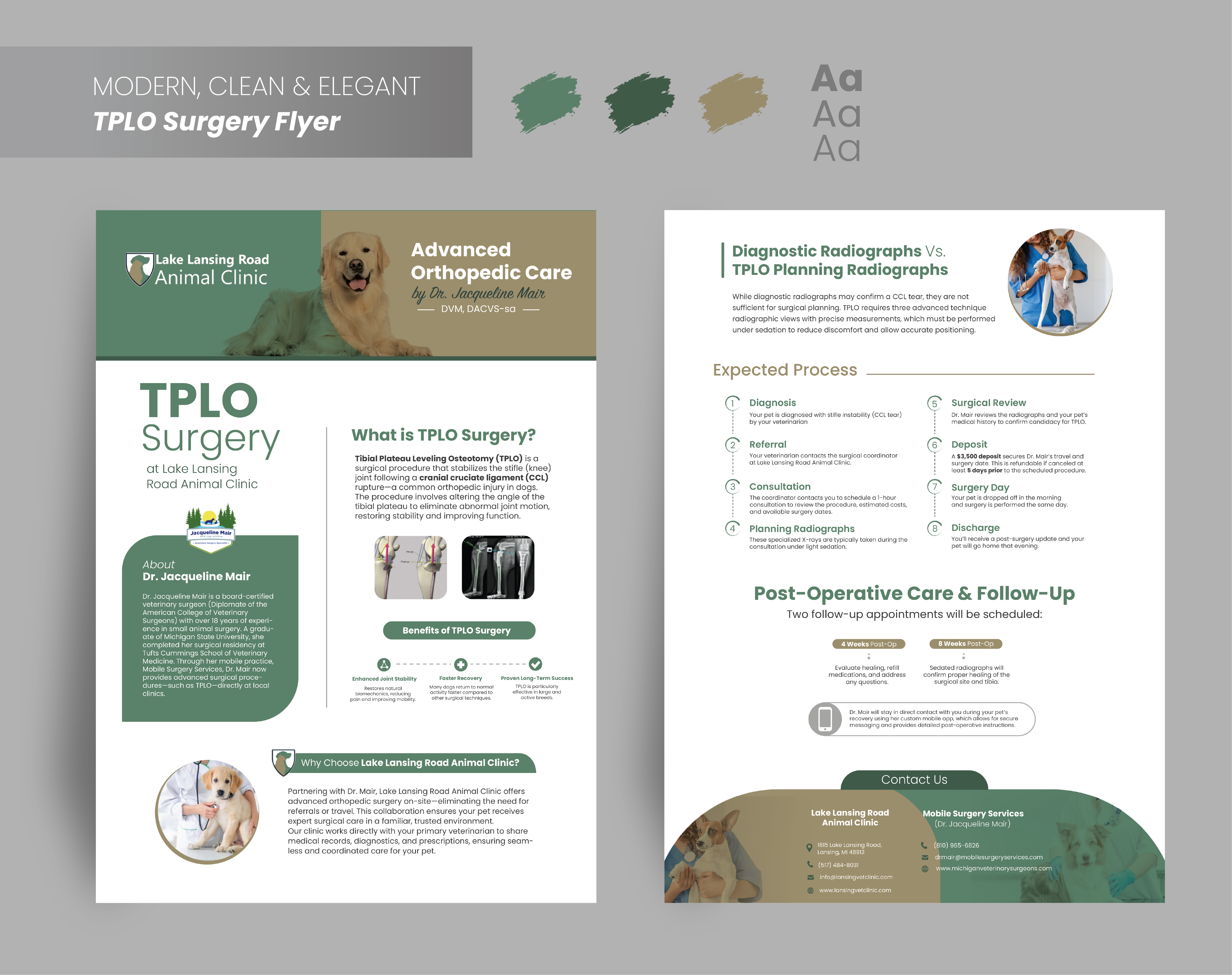 Diseño de Flyer por G Marchiori para este proyecto | Diseño #35297843