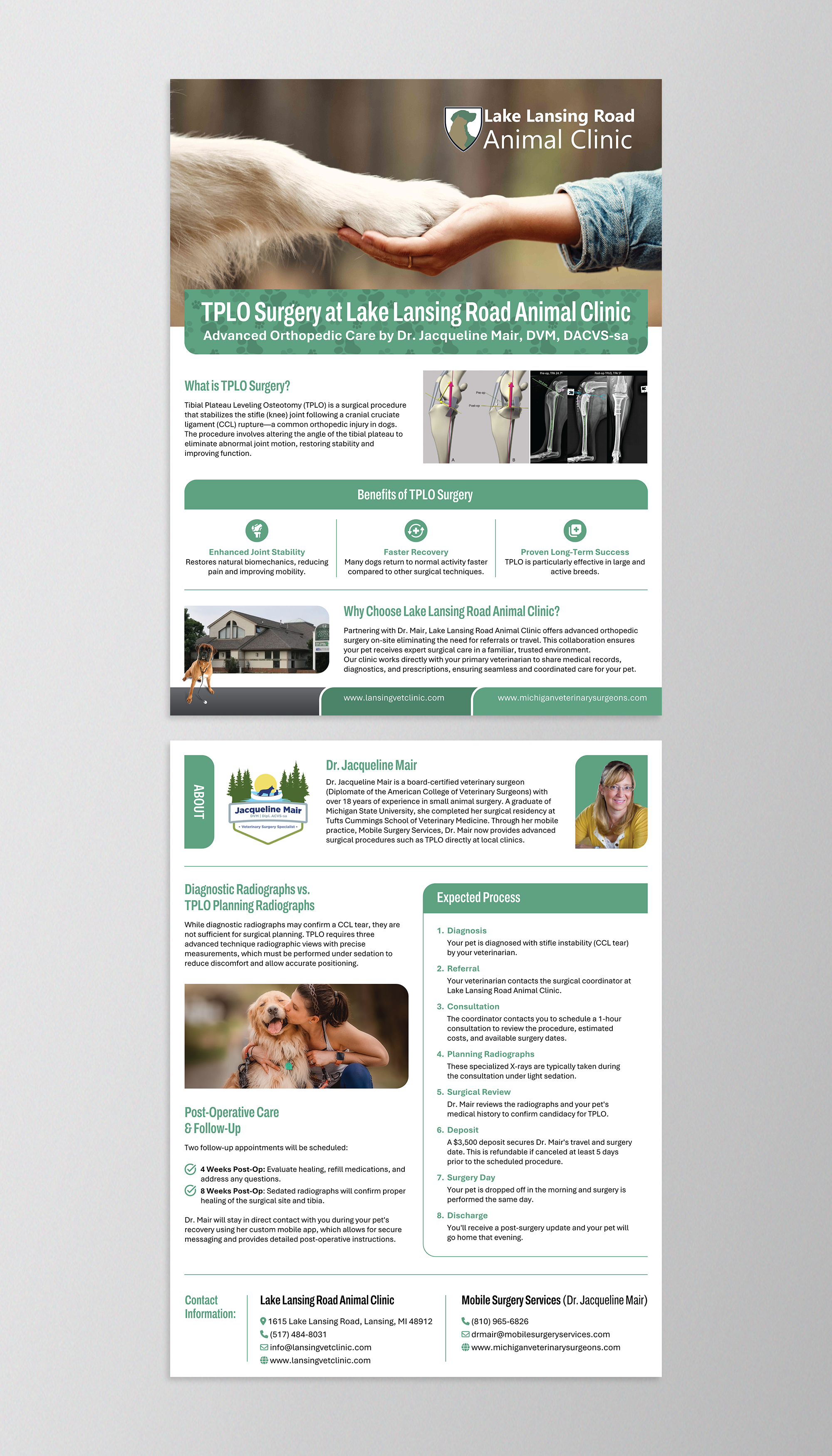 Flyer Design by nadhisa87 for this project | Design #35310815