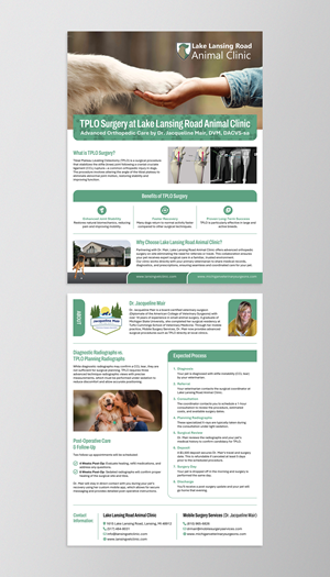 Flyer Design by nadhisa87 for this project | Design: #35310815