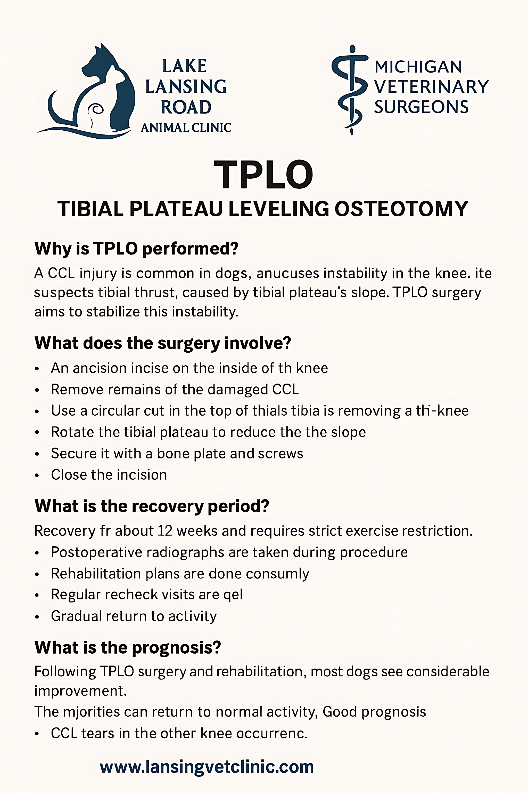 Design de Flyer par shakibali pour ce projet | Design #35271429