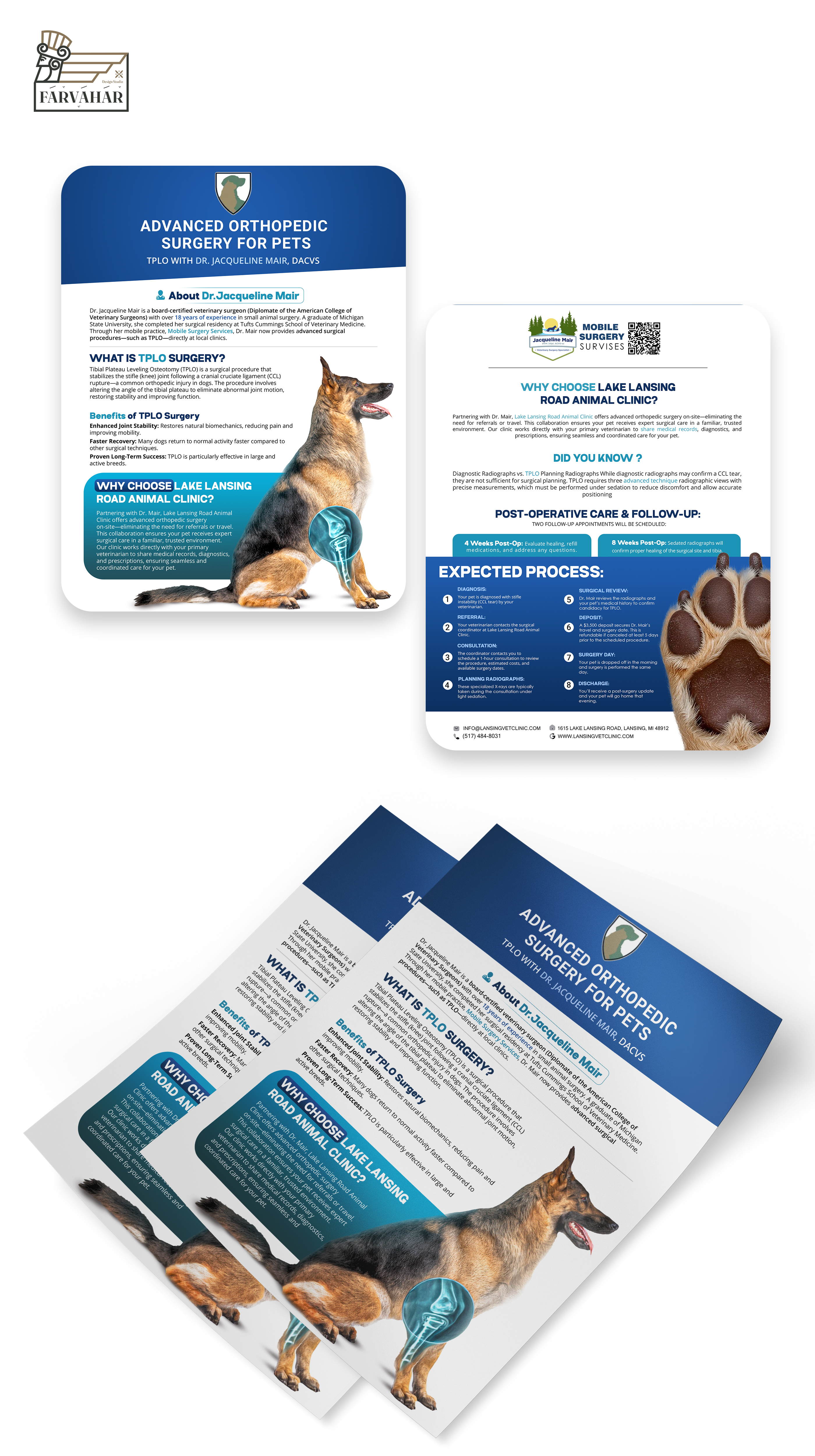 Flyer Design by Farvahar Design Studio for this project | Design #35311312
