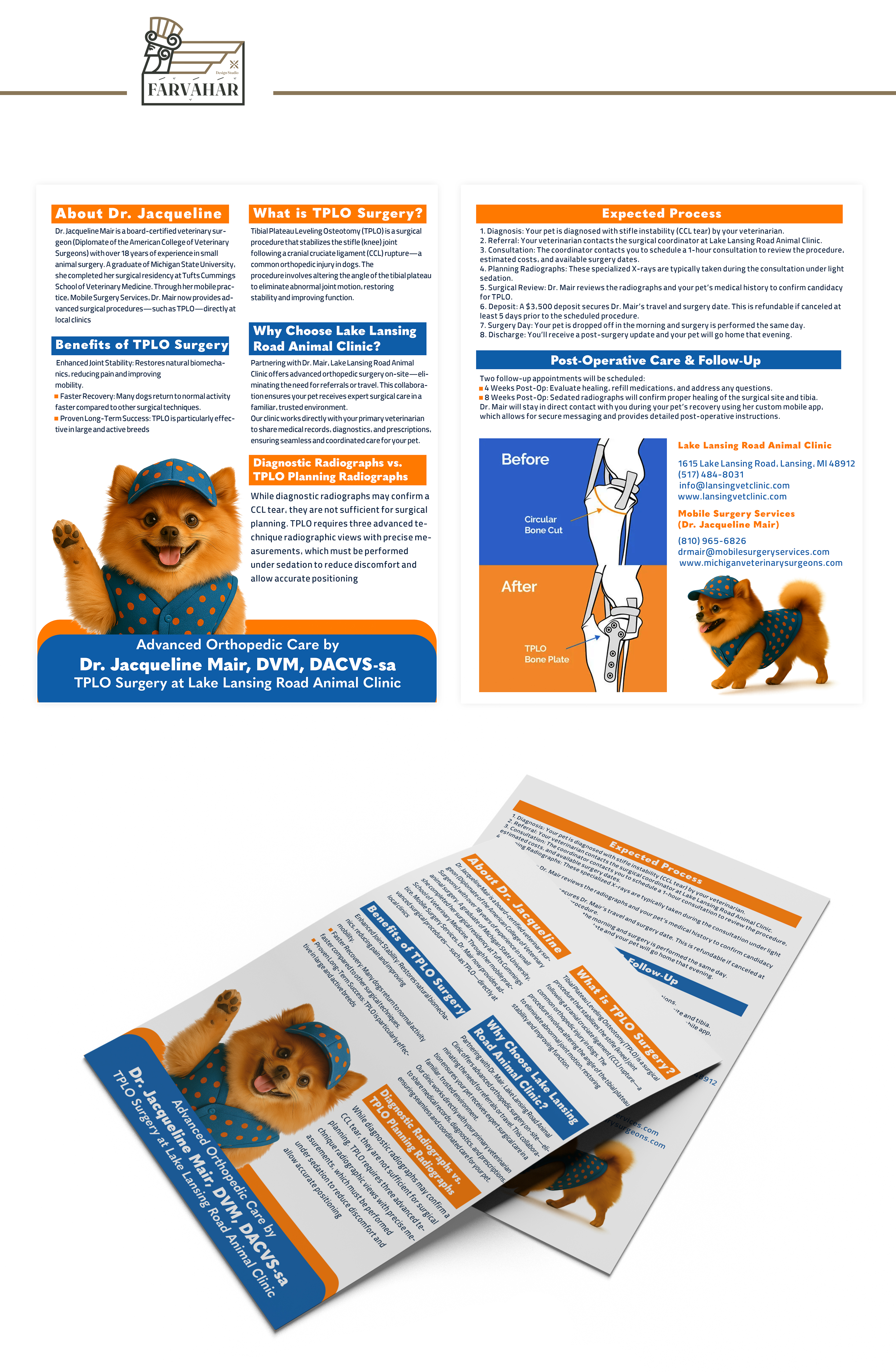 Flyer Design by Farvahar Design Studio for this project | Design #35311315