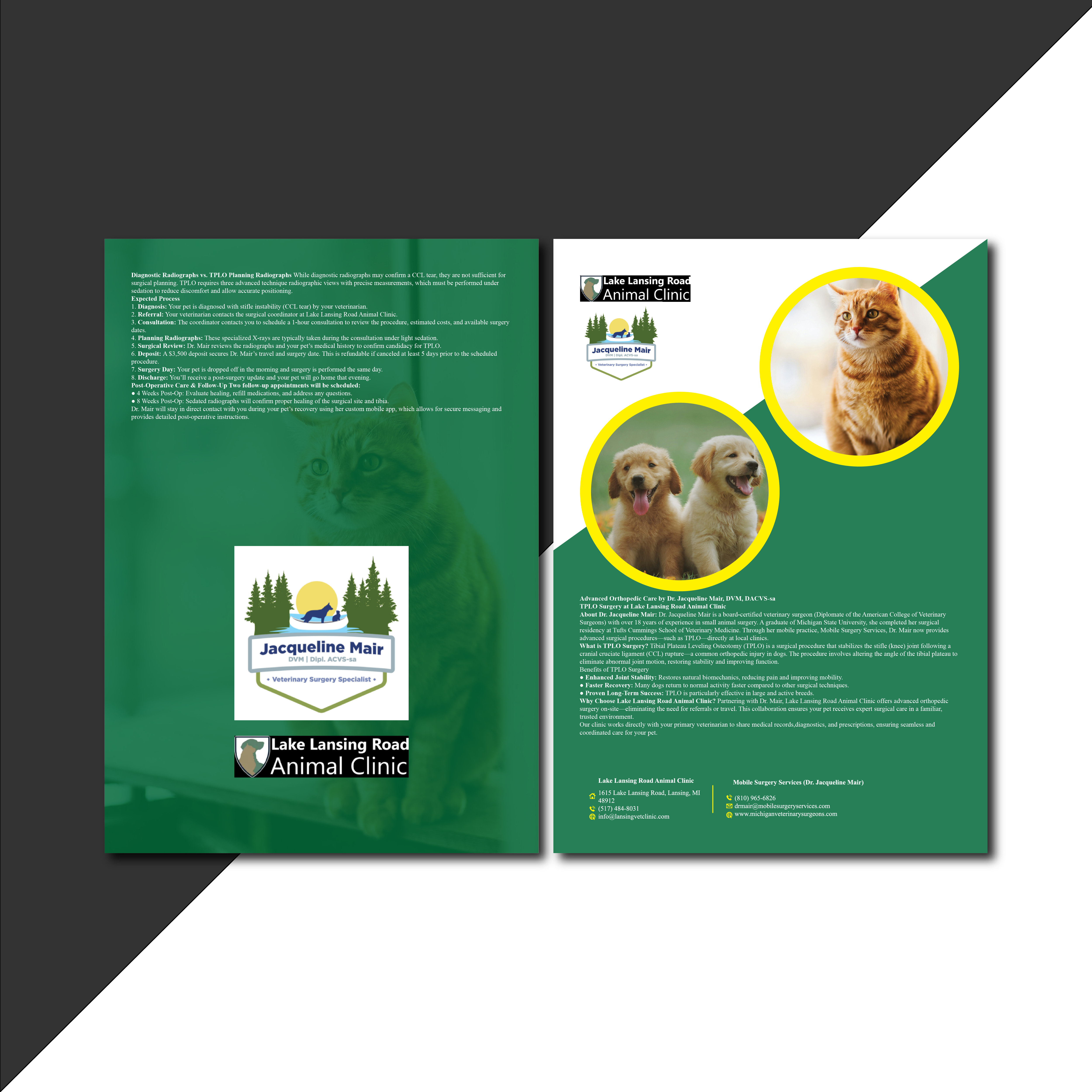 Flyer Design by MST PINKY KHATUN for this project | Design #35300273