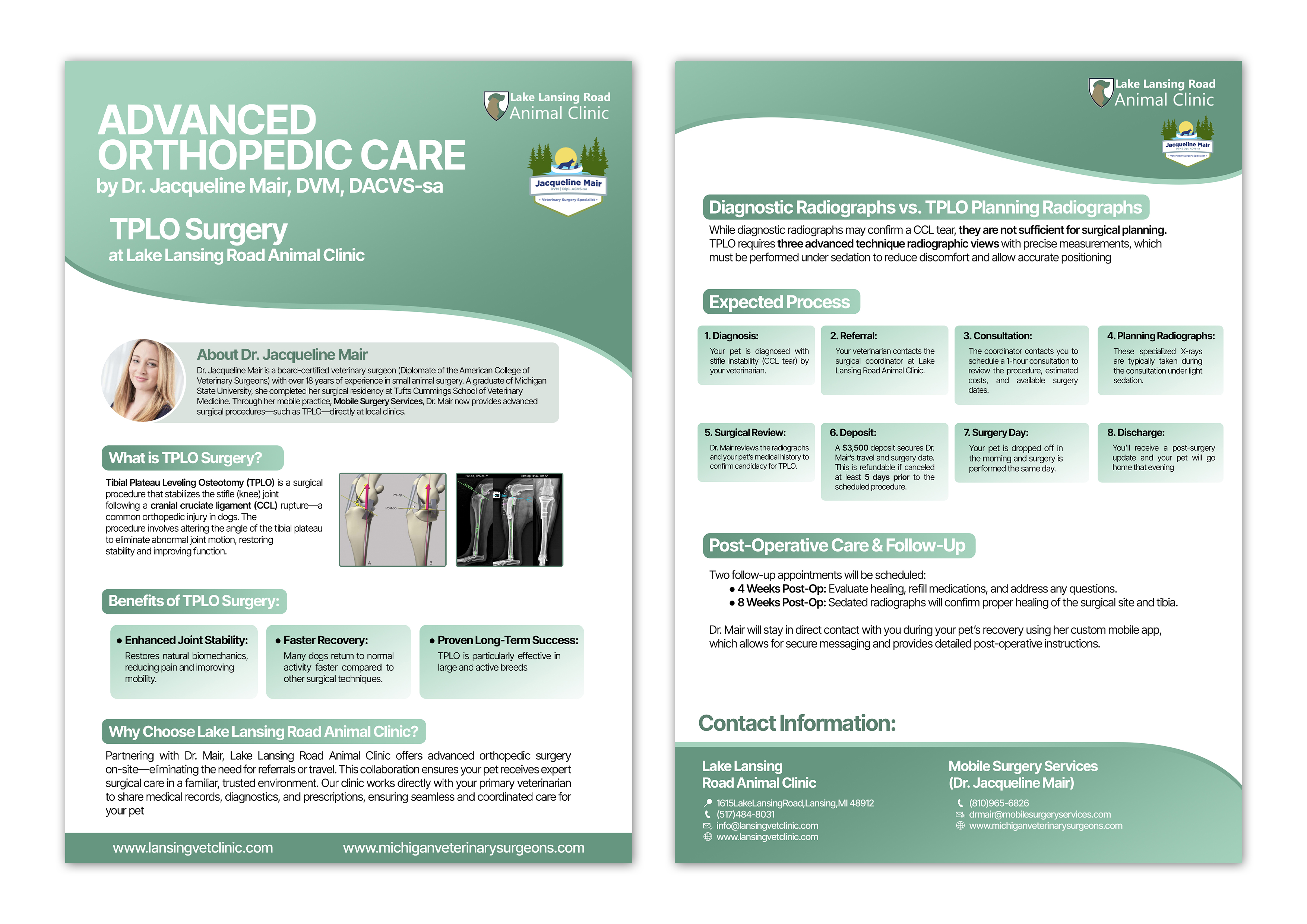Design de Flyer par Thariq Rachmadito Nurjati pour ce projet | Design #35305480
