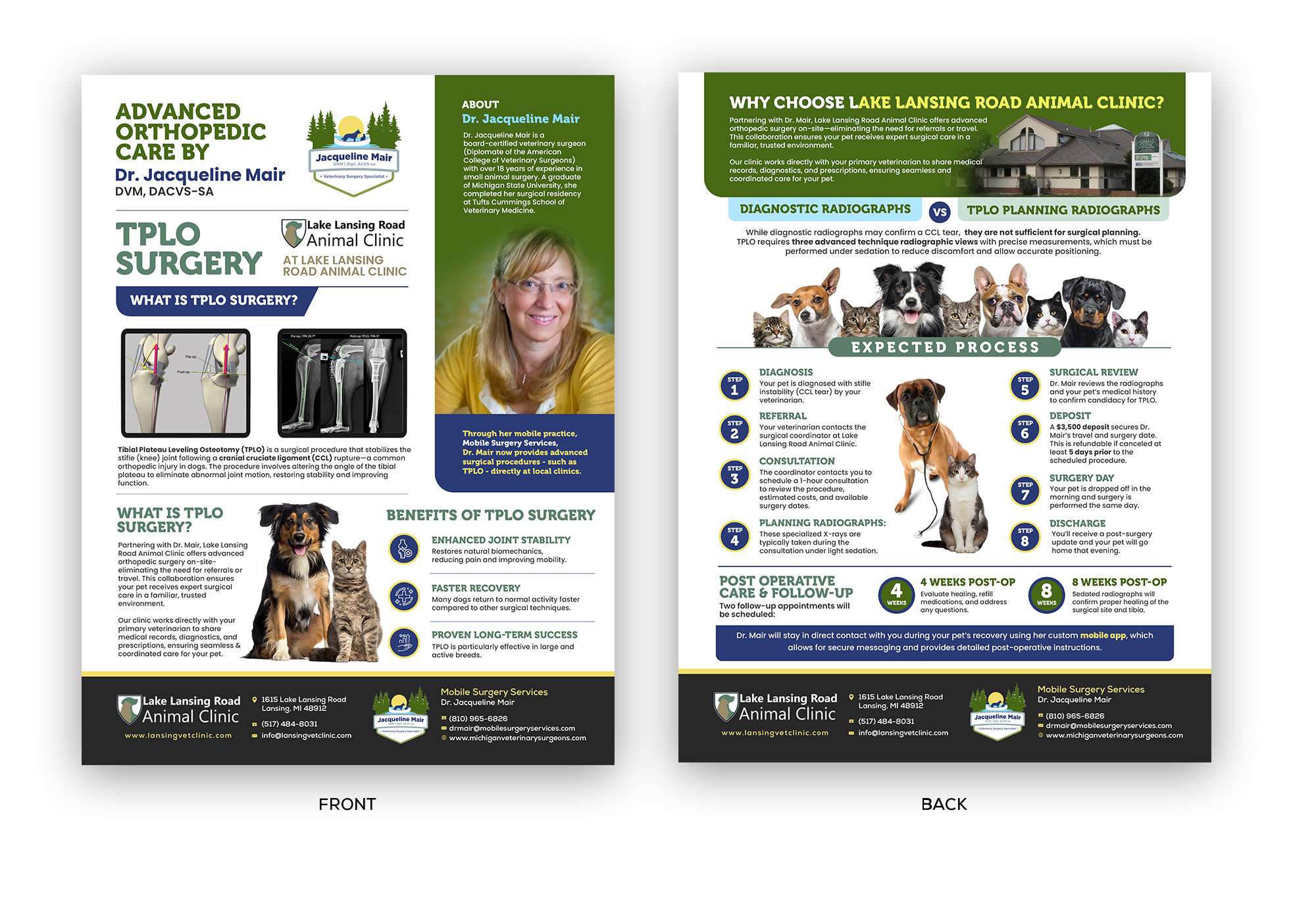 Design de Flyer par debdesign pour ce projet | Design #35276350
