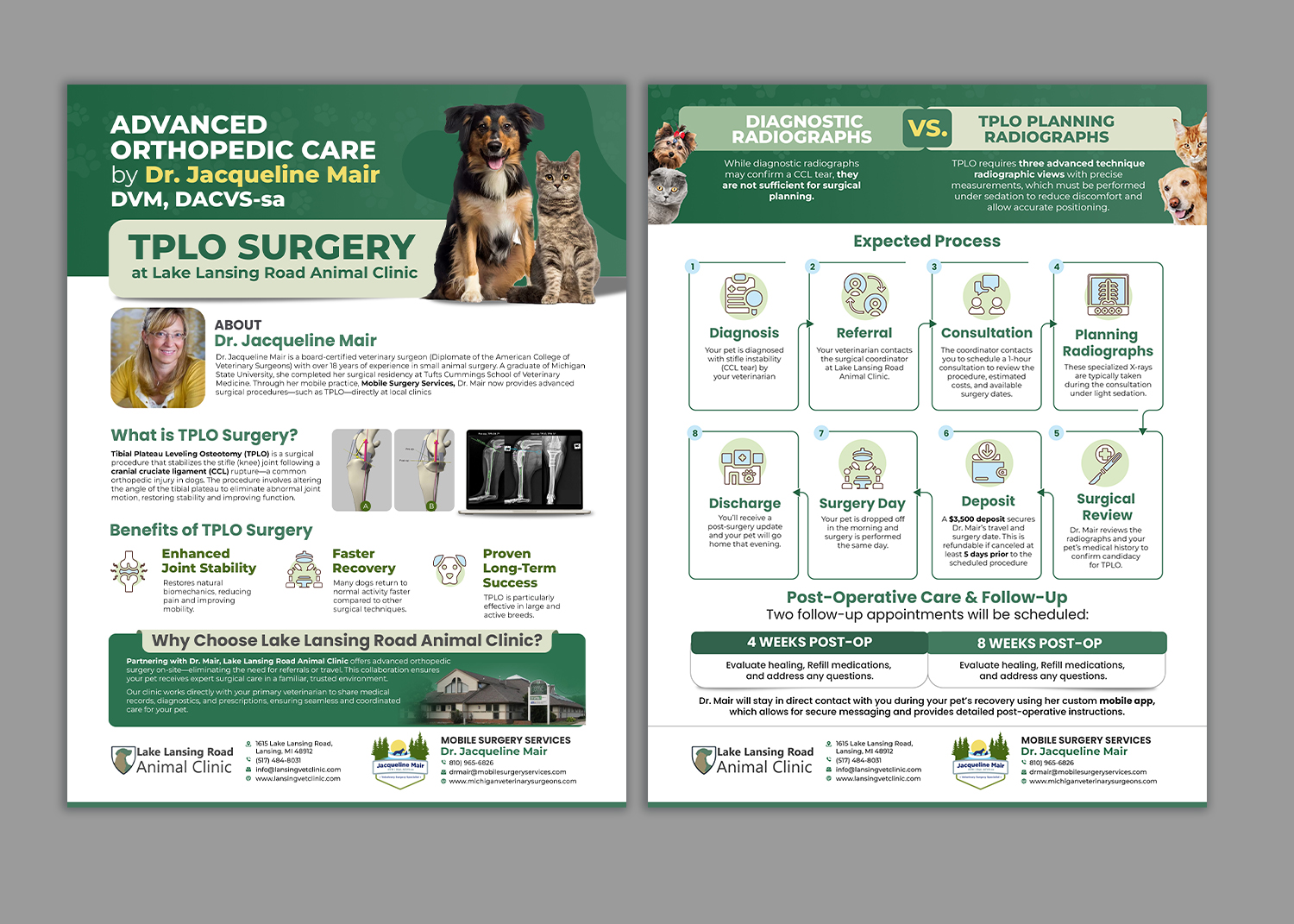 Flyer Design by debdesign for this project | Design #35276601