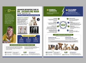 Design de Flyer par debdesign pour ce projet | Design : #35276716