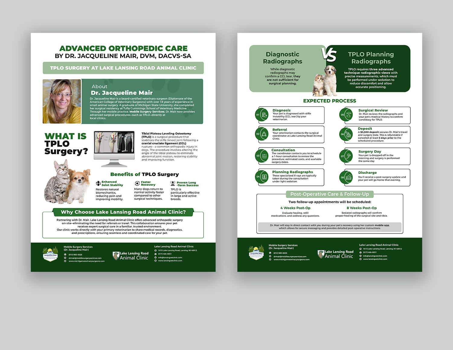 Flyer Design by debdesign for this project | Design #35276983