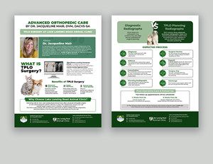 Design de Flyer par debdesign pour ce projet | Design : #35276983