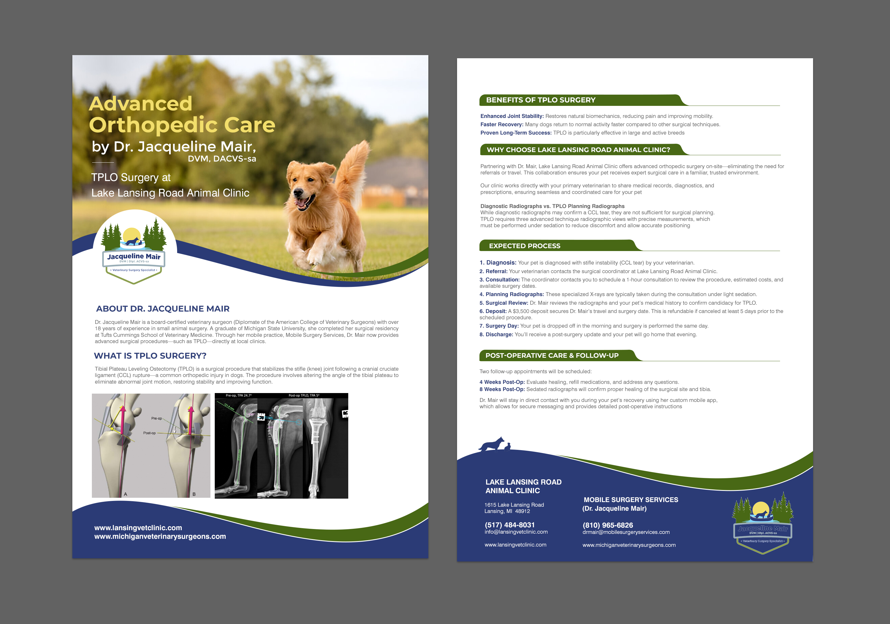 Flyer Design by chandrayaan.creative for this project | Design #35270781