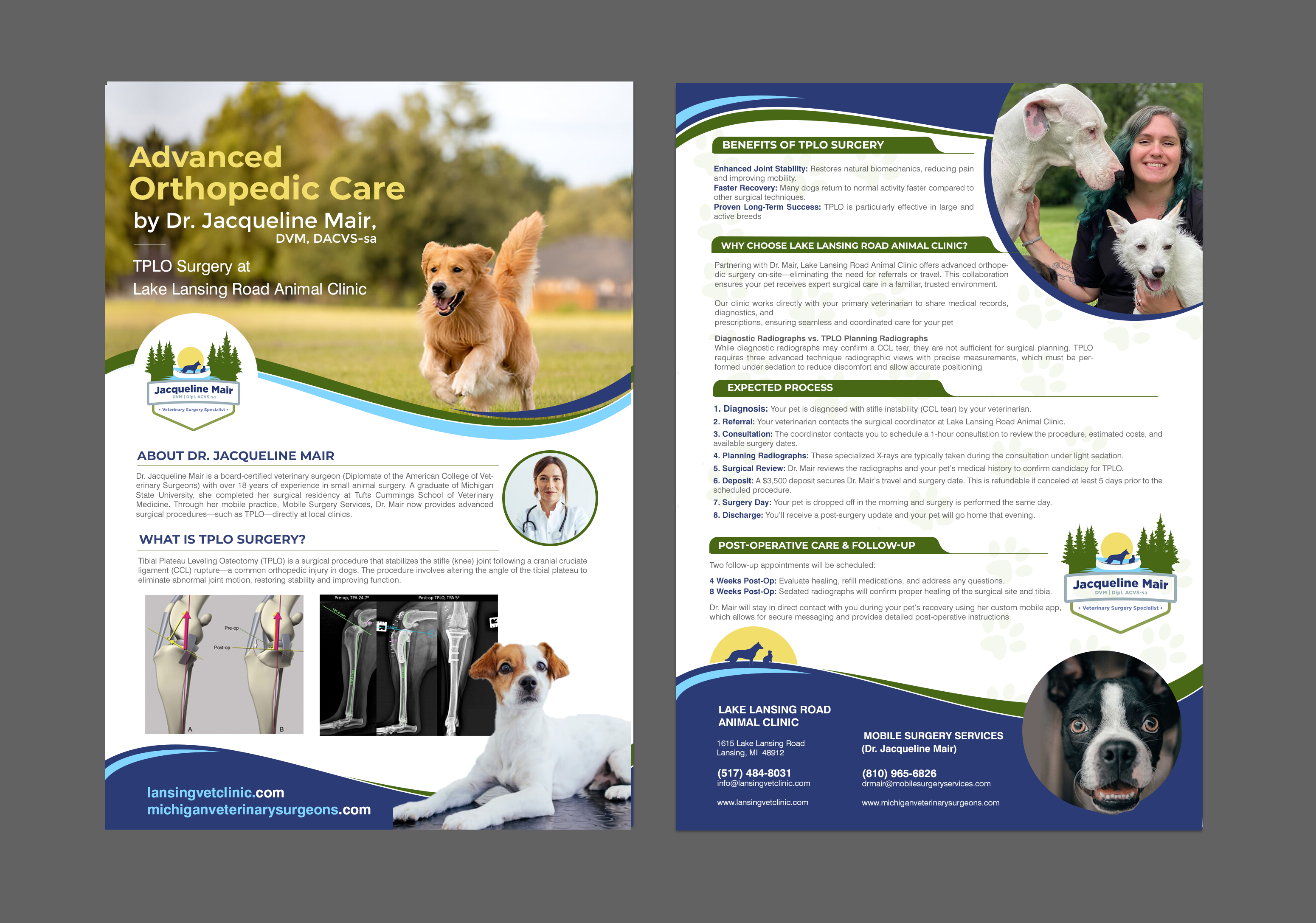 Design de Flyer par chandrayaan.creative pour ce projet | Design #35277737