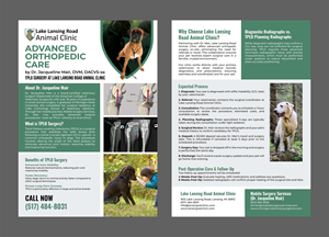 Design de Flyer par 3Guys pour ce projet | Design : #35280614