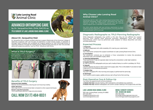 Design de Flyer par 3Guys pour ce projet | Design : #35280615