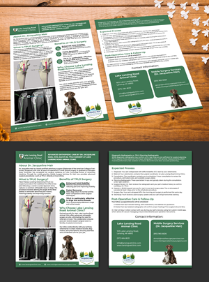 Flyer Design by websmartusa