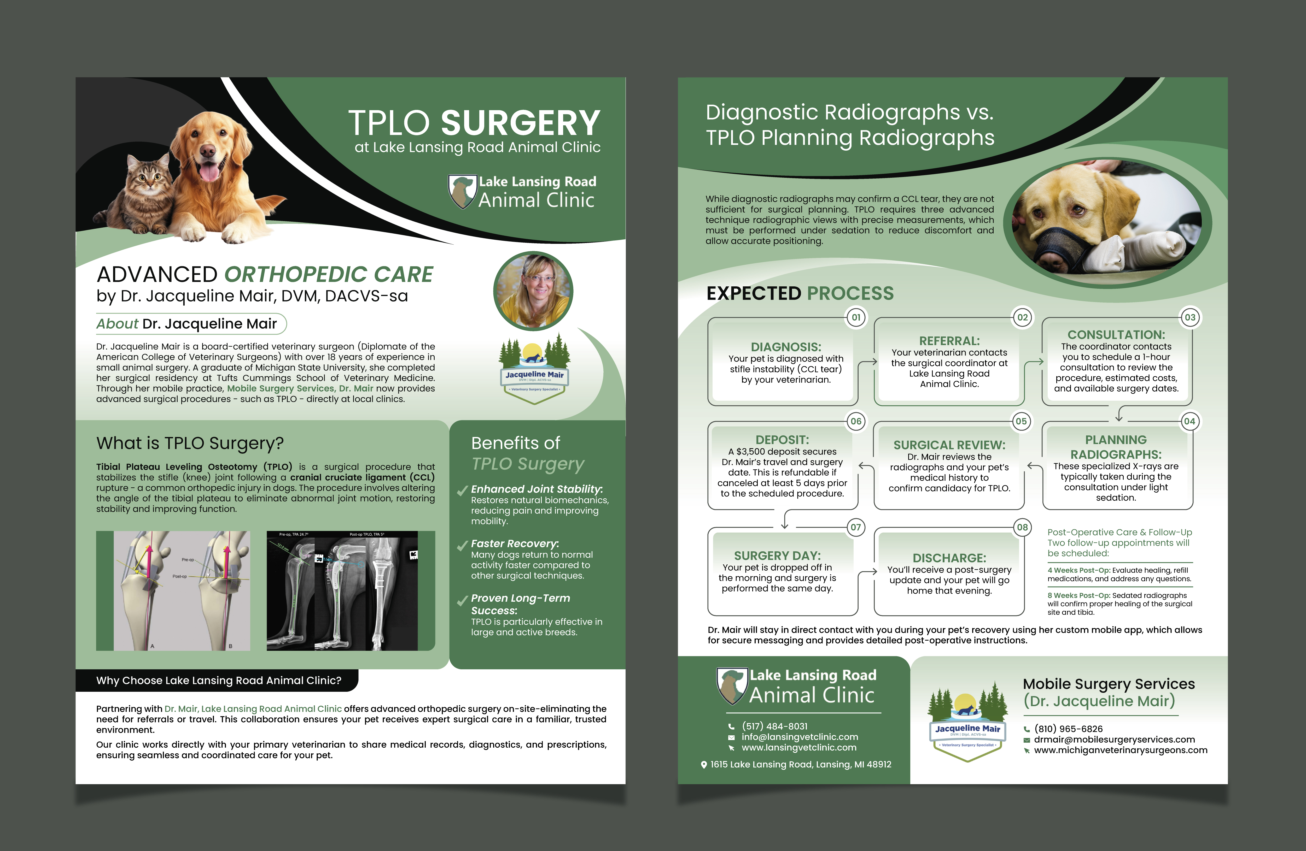 Flyer Design by saurov for this project | Design #35295168