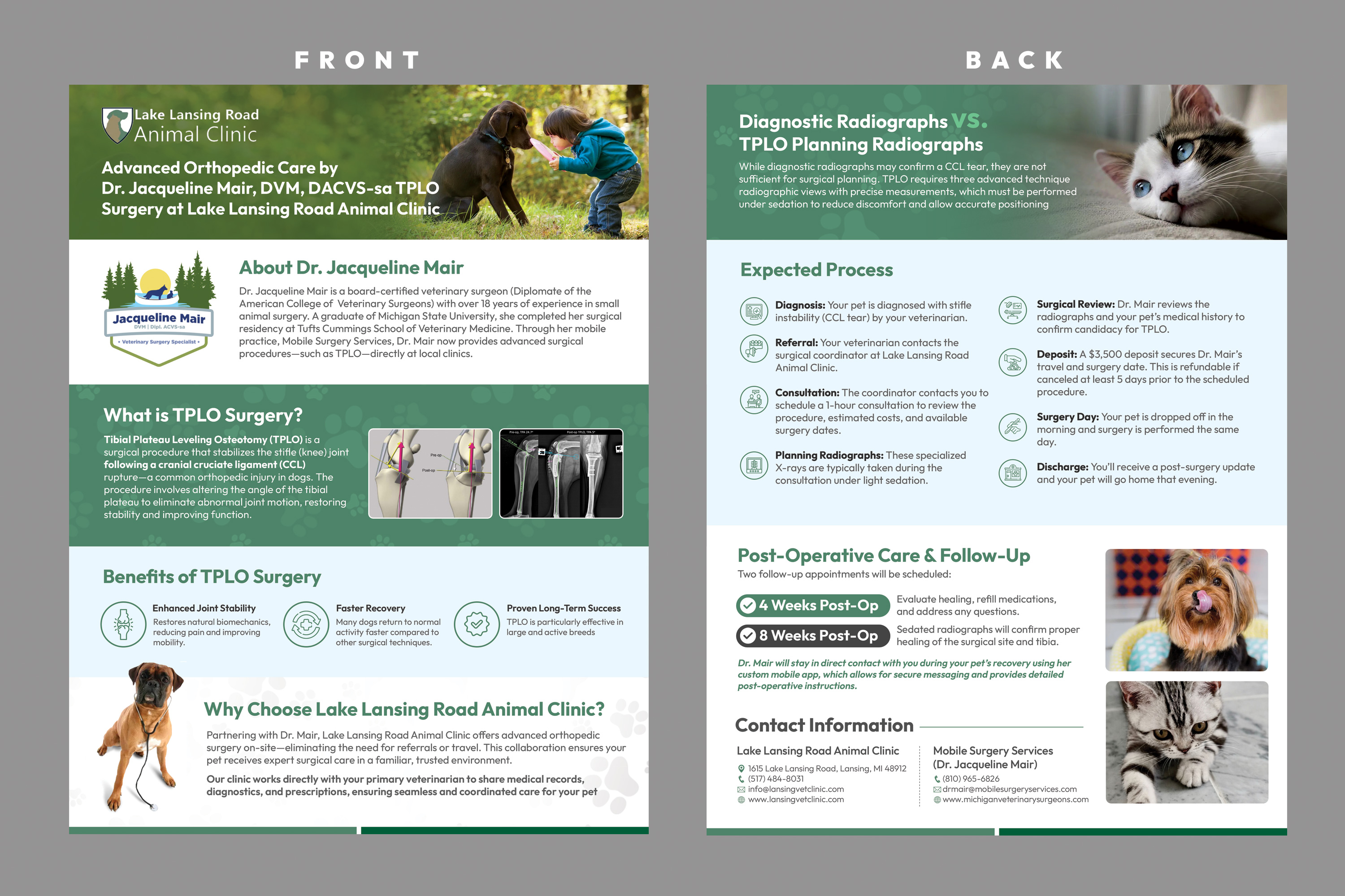 Flyer Design by Stan$oul for this project | Design #35269390