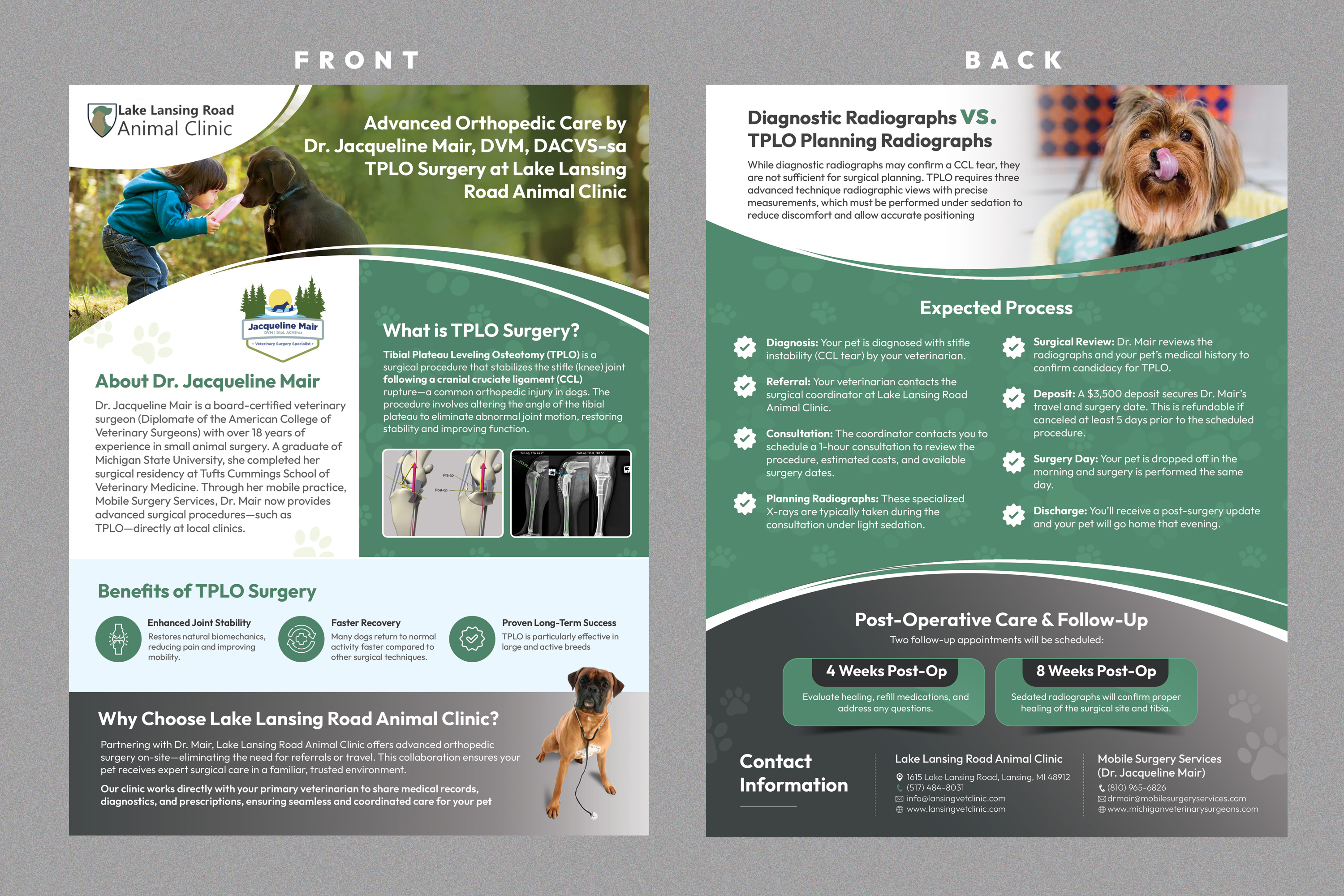 Flyer Design by Stan$oul for this project | Design #35269716