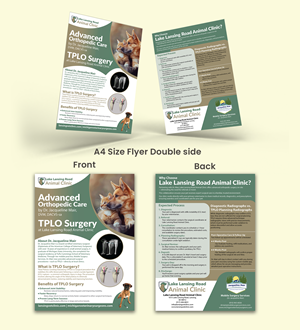 Flyer Design by Impressive Designs for this project | Design #35275350